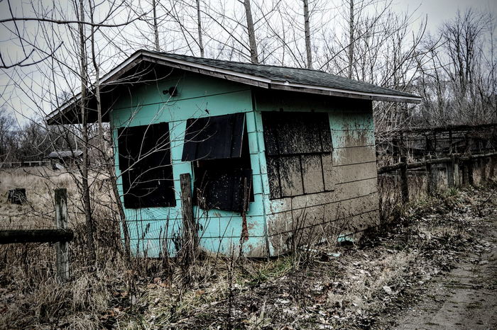 Deer Forest - January 2024 Photo From Dan Keeley (newer photo)